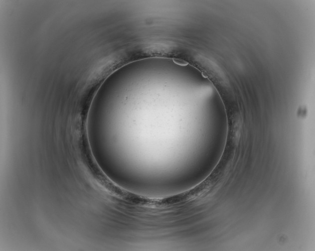 X0000092300498200709141323