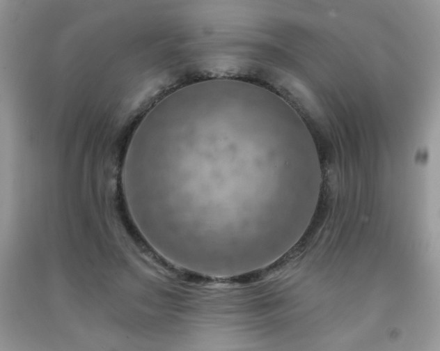 X0000092300499200709141323