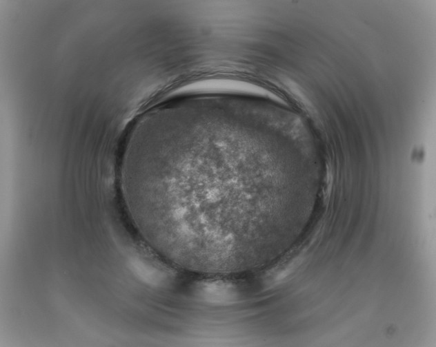 X0000092300500200709141322