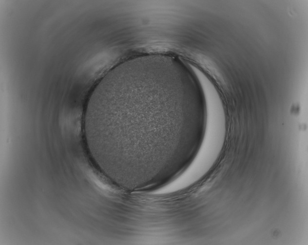 X0000092300501200709141322