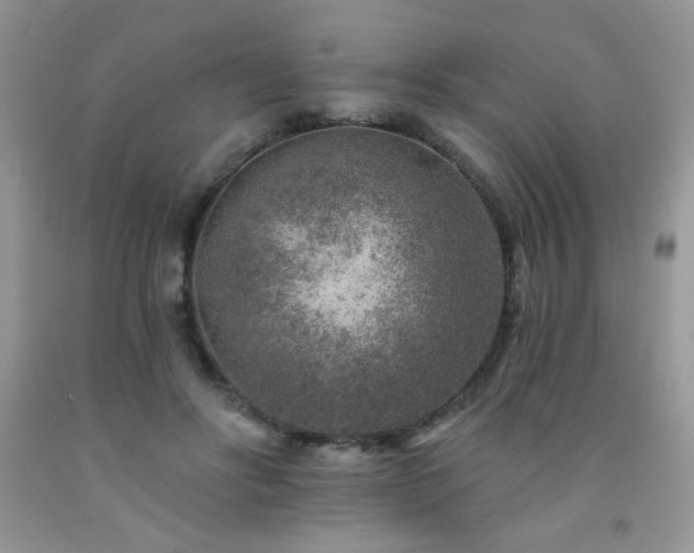 X0000092300502200709141322