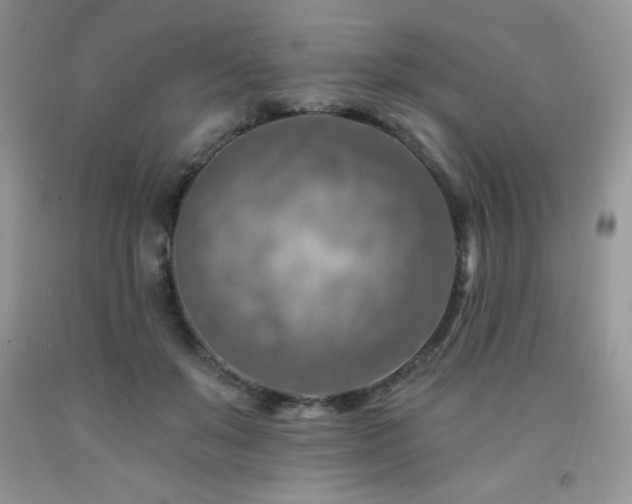 X0000092300503200709141322