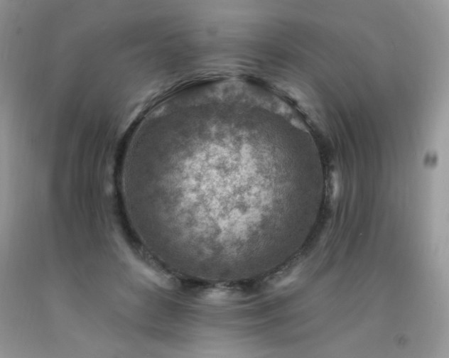 X0000092300504200709141322