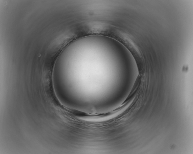 X0000092300505200709141322