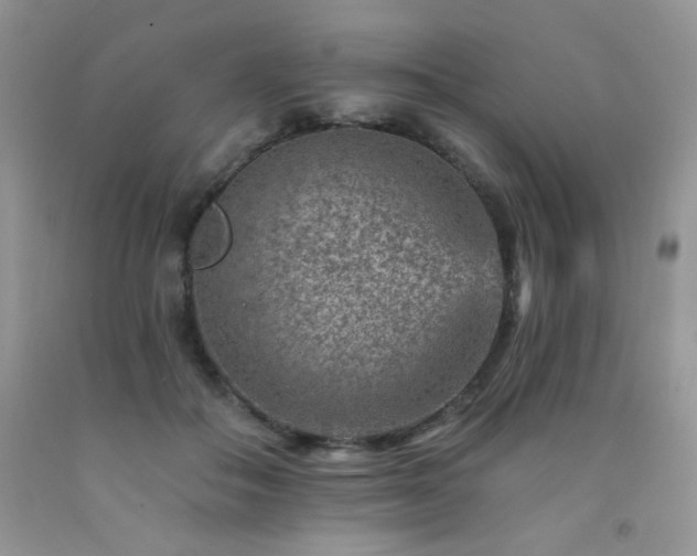 X0000092300506200709141322