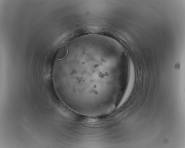 X0000092300507200709141322