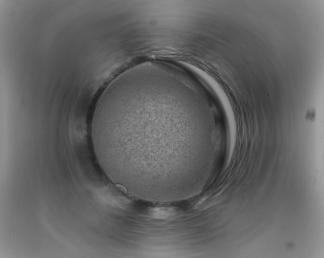 X0000092300508200709141322
