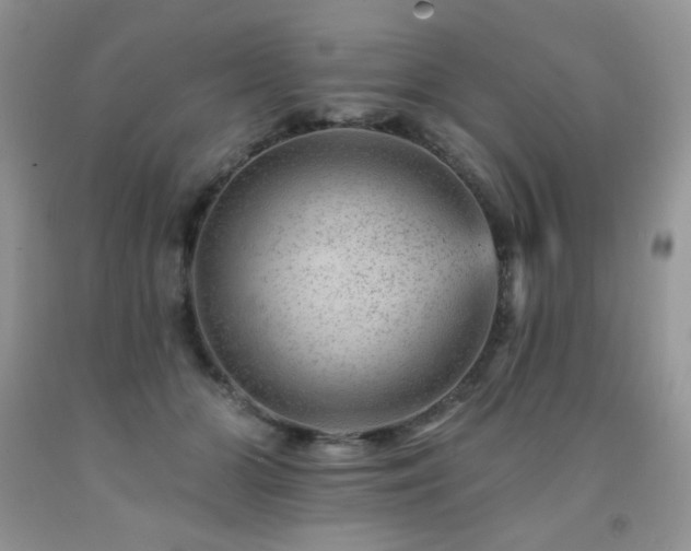 X0000092300510200709141322