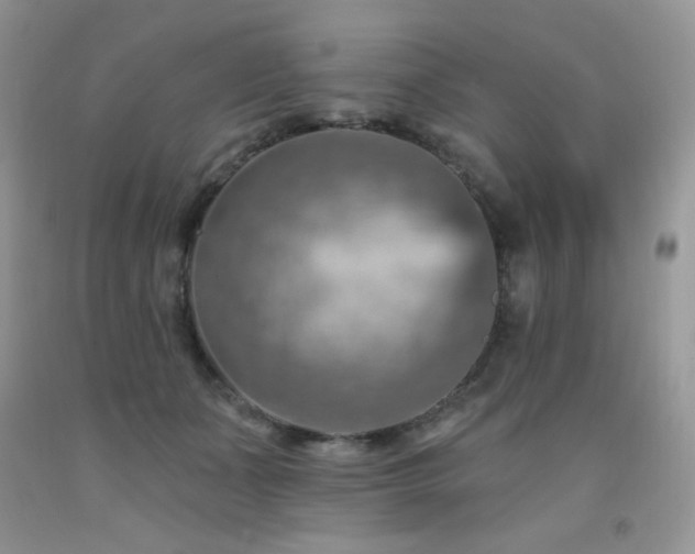 X0000092300511200709141322