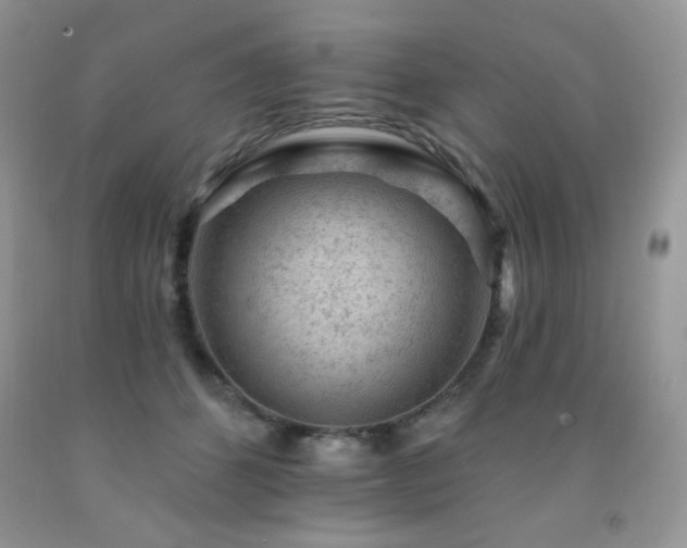X0000092300512200709141322