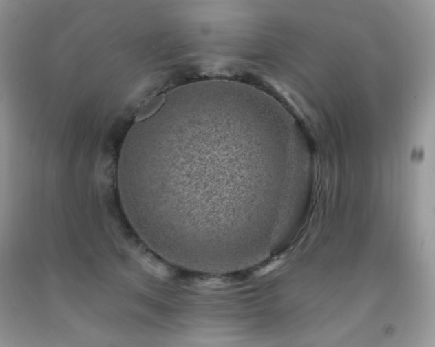 X0000092300513200709141322