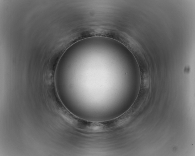X0000092300514200709141322