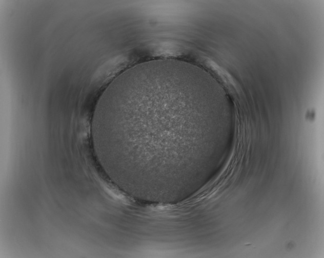 X0000092300517200709141322