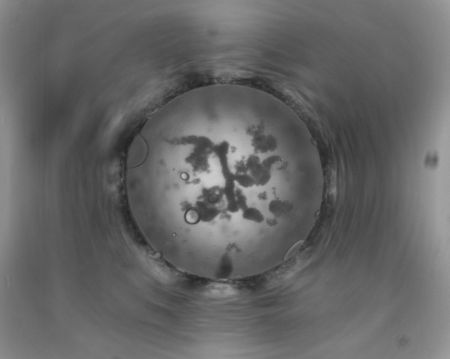 X0000092300519200709141322