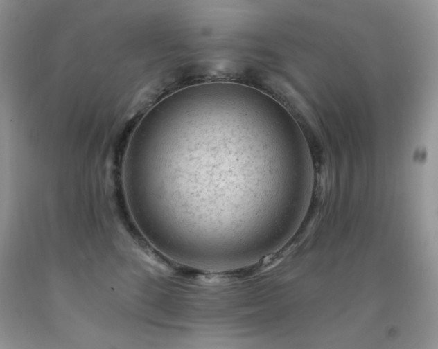 X0000092300520200709141322