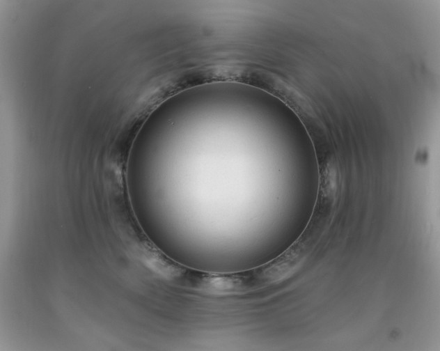 X0000092300522200709141322