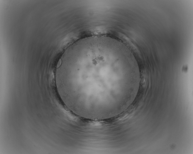 X0000092300523200709141322