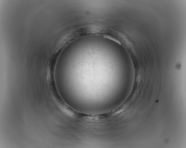 X0000092300524200709141322