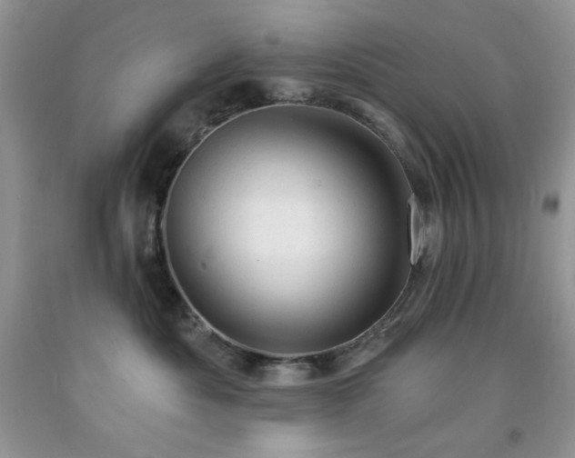 X0000092300525200709141322