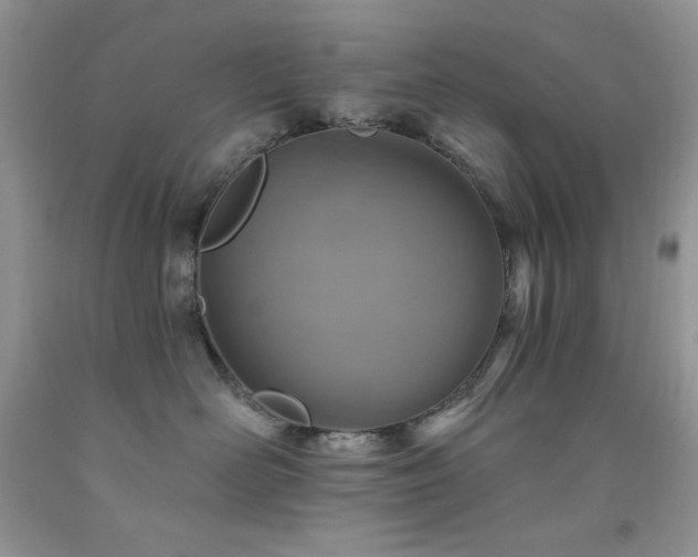 X0000092300526200709141322