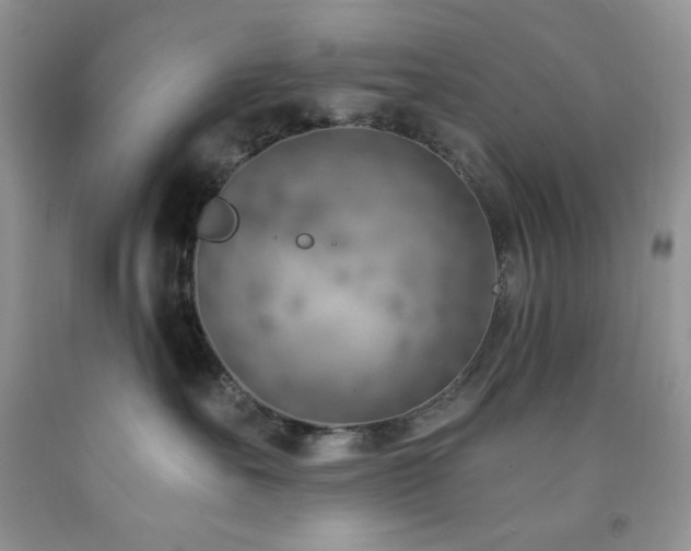X0000092300527200709141322