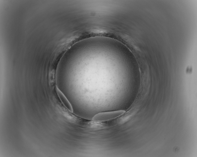 X0000092300528200709141322