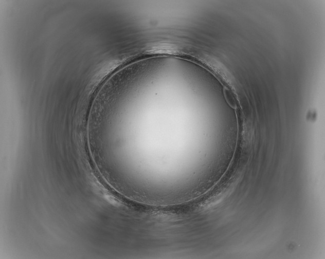 X0000092300529200709141322