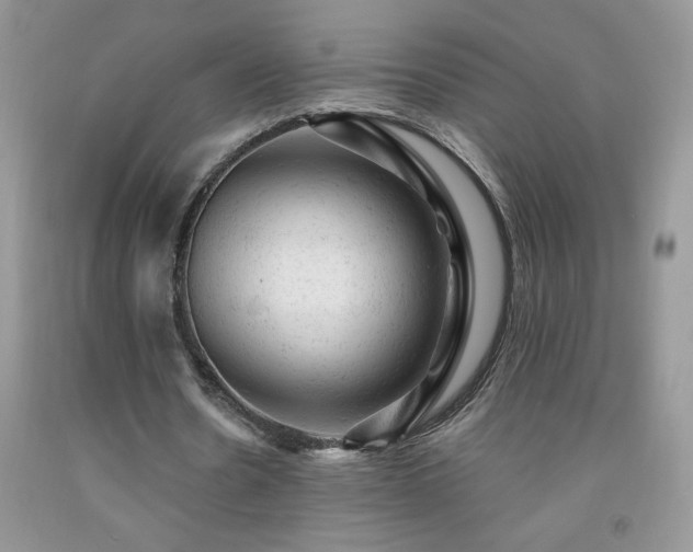 X0000092300530200709141322