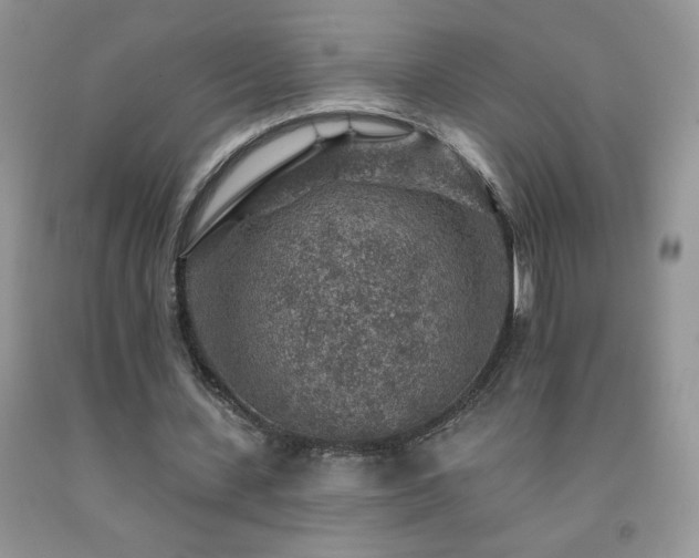 X0000092300531200709141322