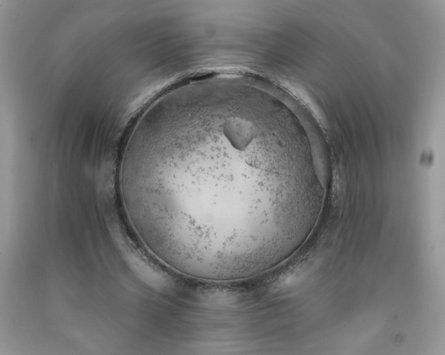 X0000092300533200709141322