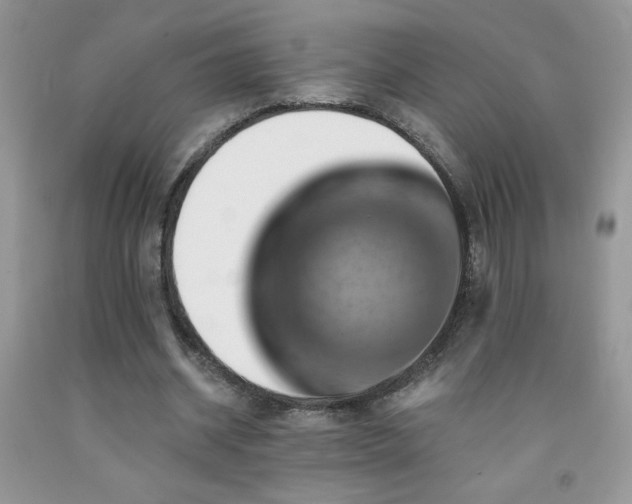 X0000092300534200709141322