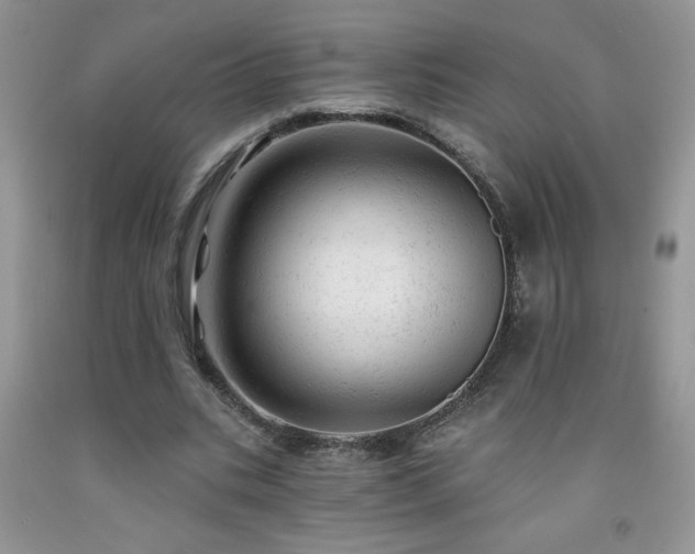 X0000092300535200709141322
