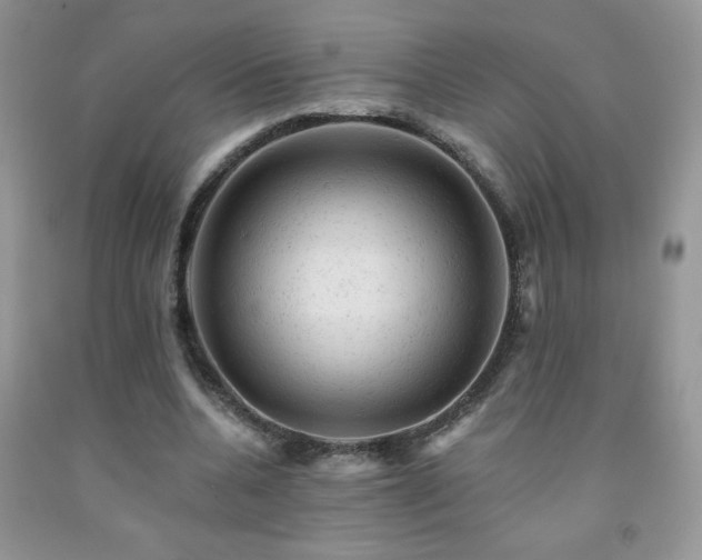 X0000092300536200709141322