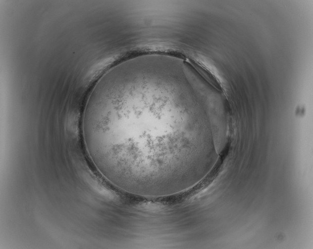 X0000092300537200709141322