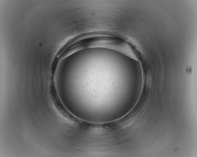 X0000092300540200709141322