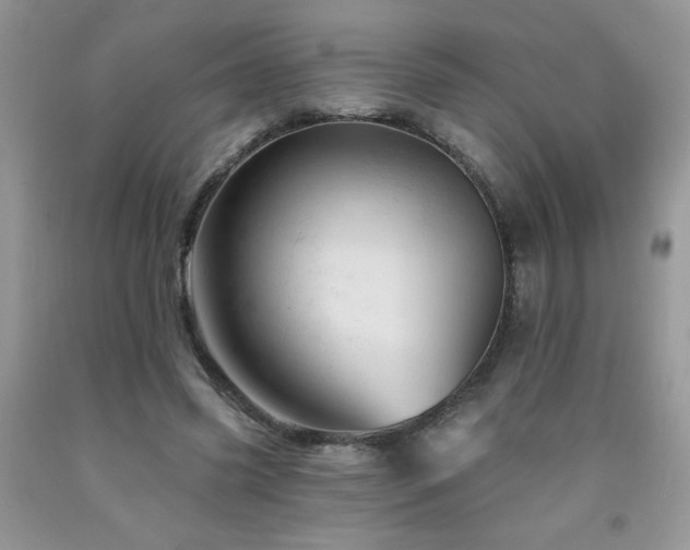 X0000092300541200709141322