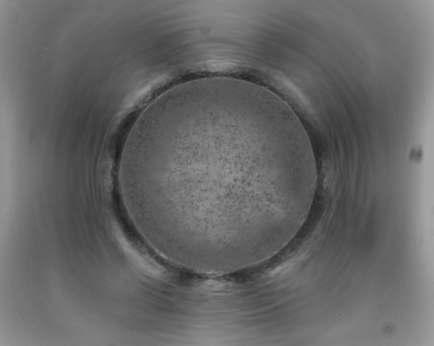 X0000092300542200709141322