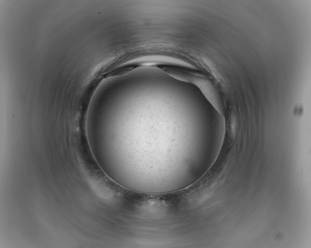 X0000092300543200709141322