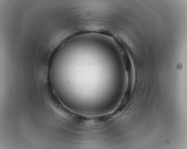 X0000092300544200709141322