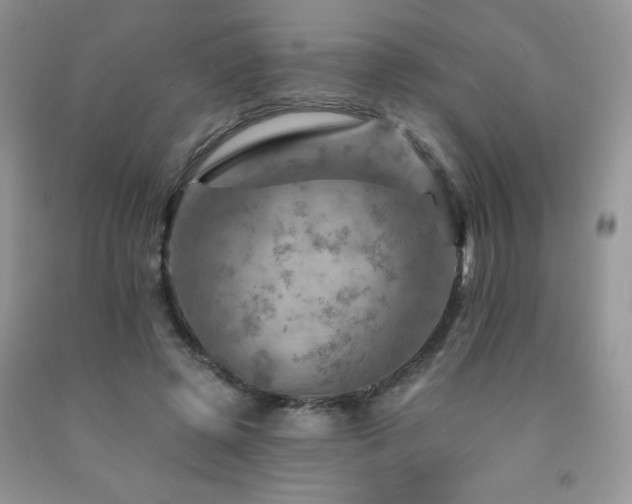X0000092300545200709141322