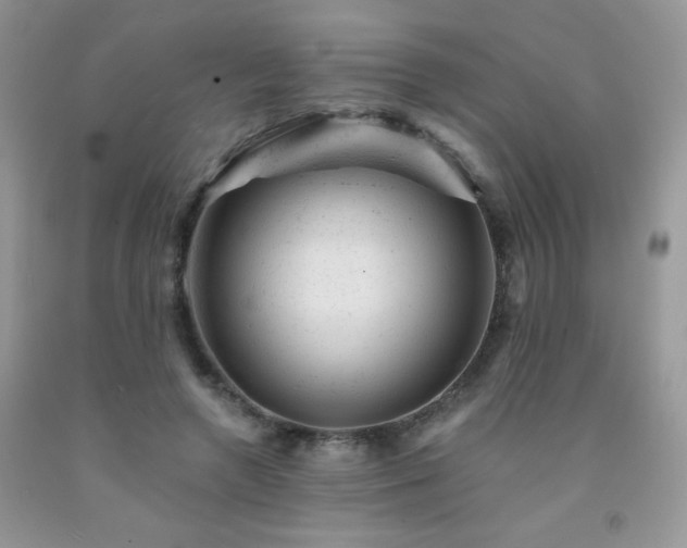 X0000092300546200709141322
