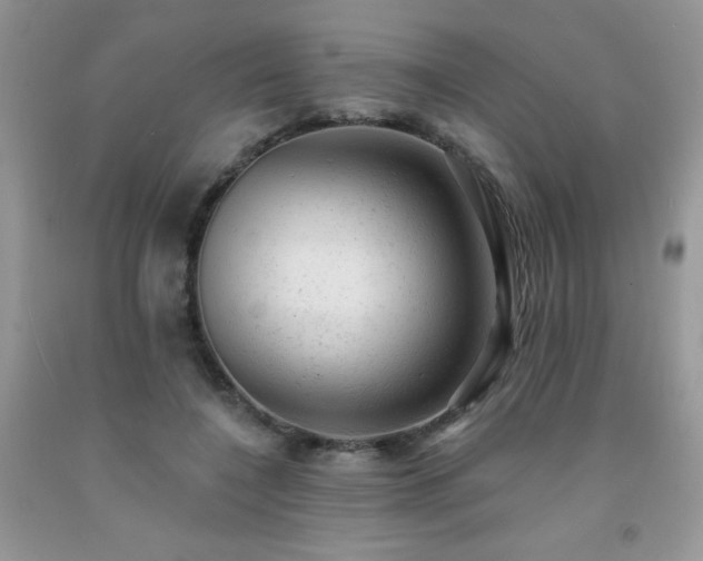 X0000092300548200709141322