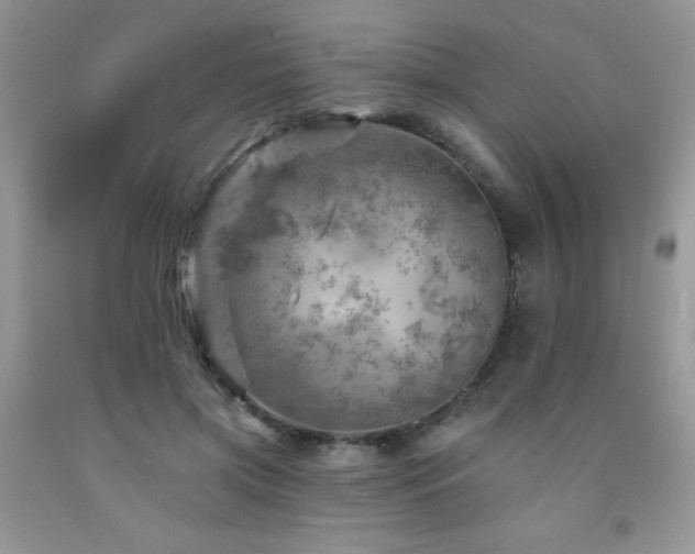 X0000092300549200709141322