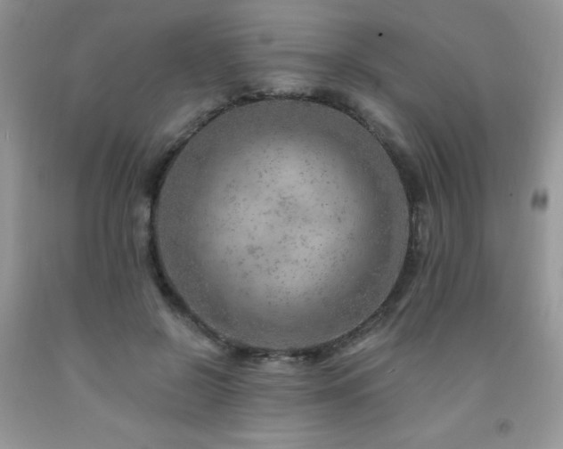 X0000092300550200709141322