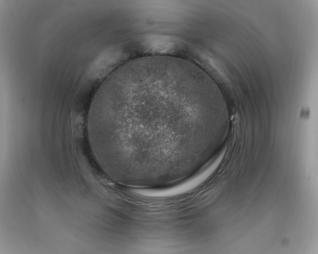 X0000092300551200709141322