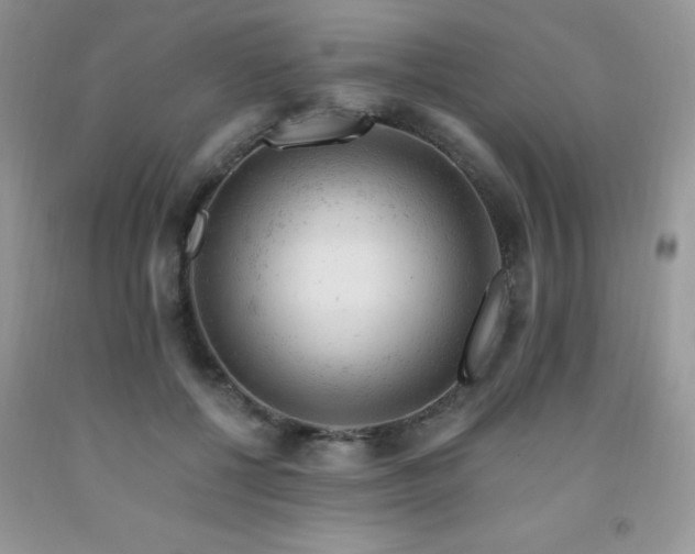 X0000092300552200709141322