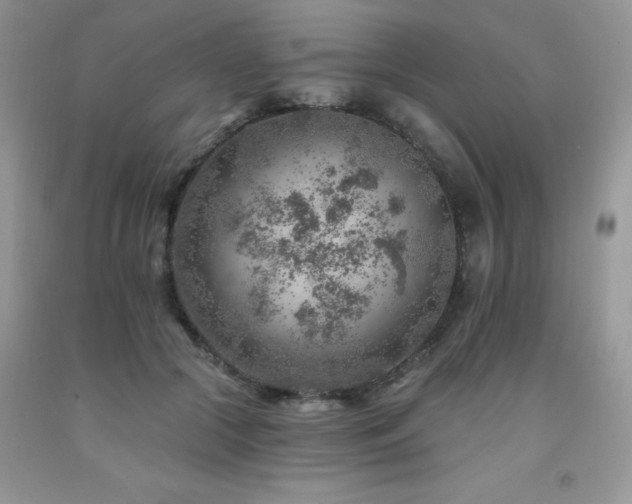 X0000092300553200709141322