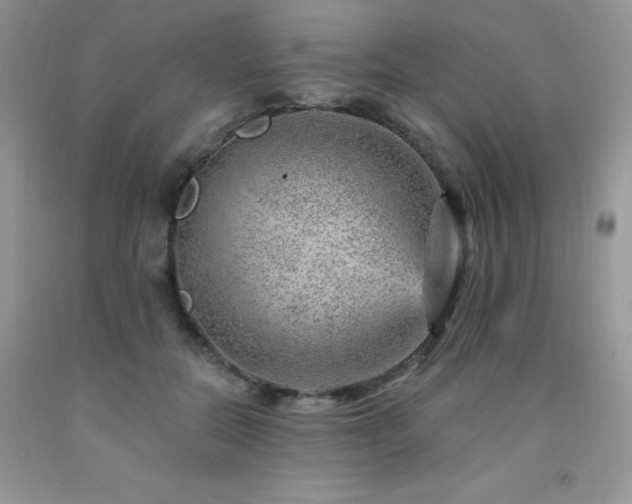X0000092300554200709141322