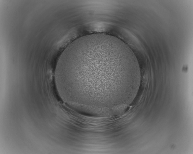 X0000092300555200709141322