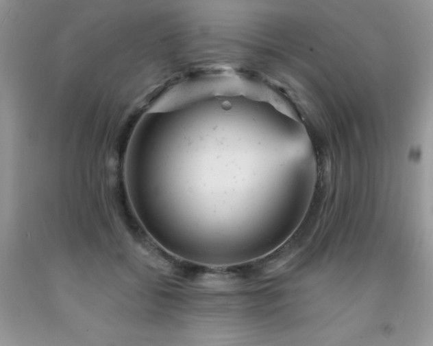 X0000092300556200709141322